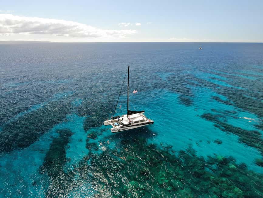 image n.3 of Maui: Snorkeling and Sailing Adventure with Buffet Lunch activity in Hawaii, uploaded by supplier