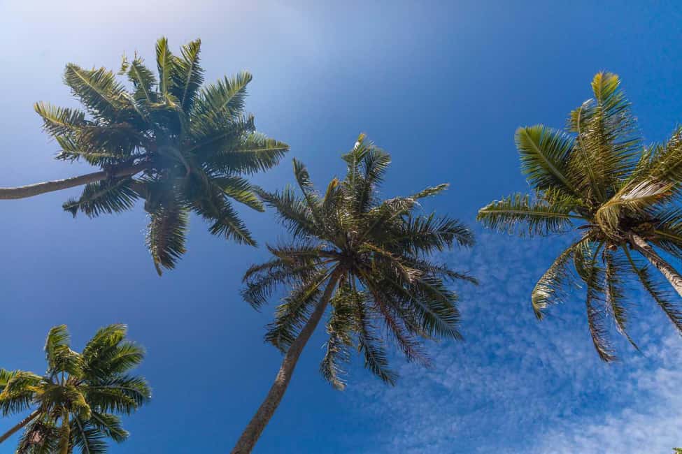 image n.24 of Praslin: Sister & Coco Island Full-Day Cruise and Creole BBQ activity in Mahé, uploaded by supplier