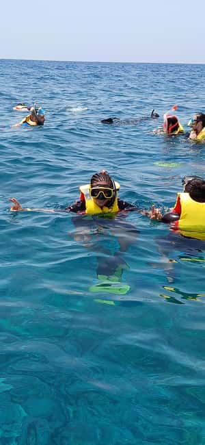 imagem n.5 de Passeio de snorkeling com guia local certificado atividade em Pedra de Lume, carregada pelo fornecedor