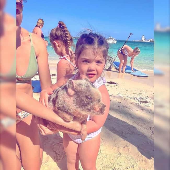 Image N°6 de Depuis Nassau : Nager avec des cochons Safari activité à Nassau, Bahamas, publiée par le prestataire