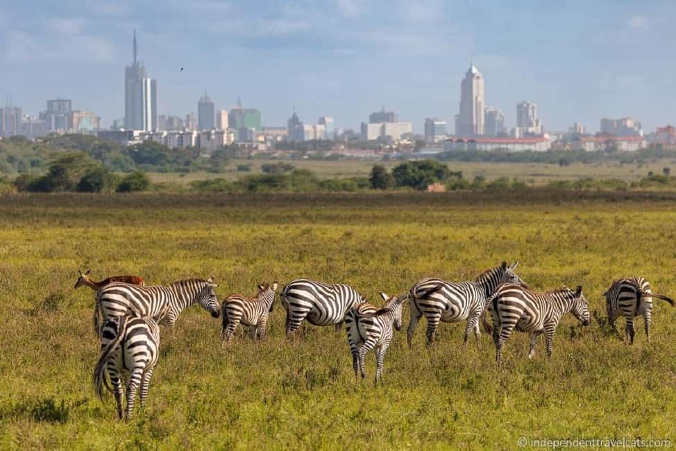 image n.5 of Nairobi National Park, Elephant Orphanage & Giraffe Centre activity in Nairobi, uploaded by supplier