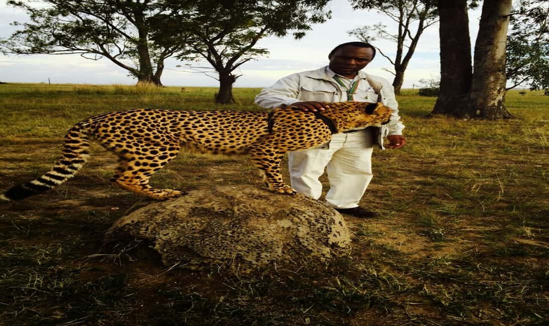 imagem n.4 de De Joanesburgo: Excursão de meio dia ao A.V.D Cheetah Centre atividade em Pretória, carregada pelo fornecedor