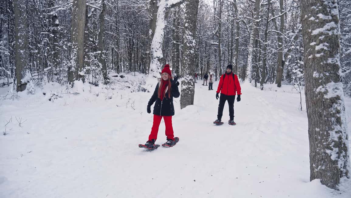 image n.8 of Ushuaia: Snowmobile+Rockets+Huskies+Skiing+Lunch or Pizza Rodizio activity in Ushuaia, uploaded by supplier