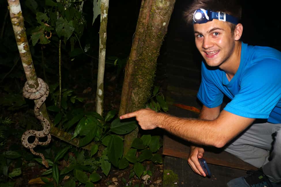 image n.4 of Puerto Maldonado: Jungle Night Tour with Sloths & Tarantulas activity in Puerto Maldonado, uploaded by supplier