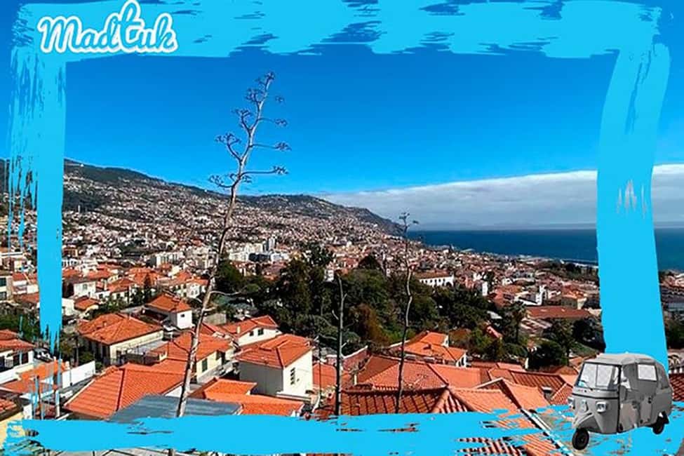 image n.10 of Madeira: Funchal City Historical Tuk Tour Guided by MadTuk activity in Funchal, uploaded by supplier