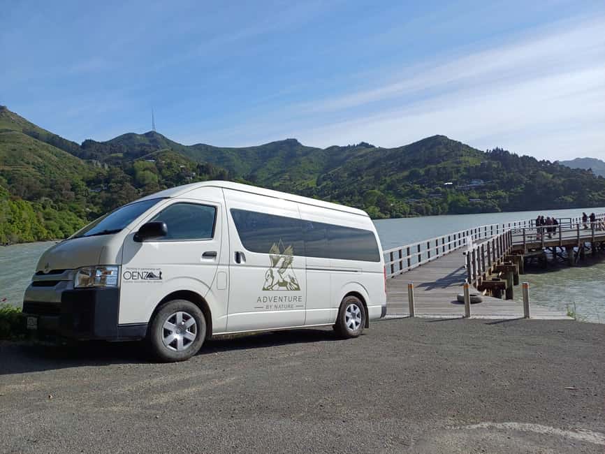 image n.8 of Christchurch: Sea Kayaking Tour of Lyttelton Harbour activity in South Island, uploaded by supplier