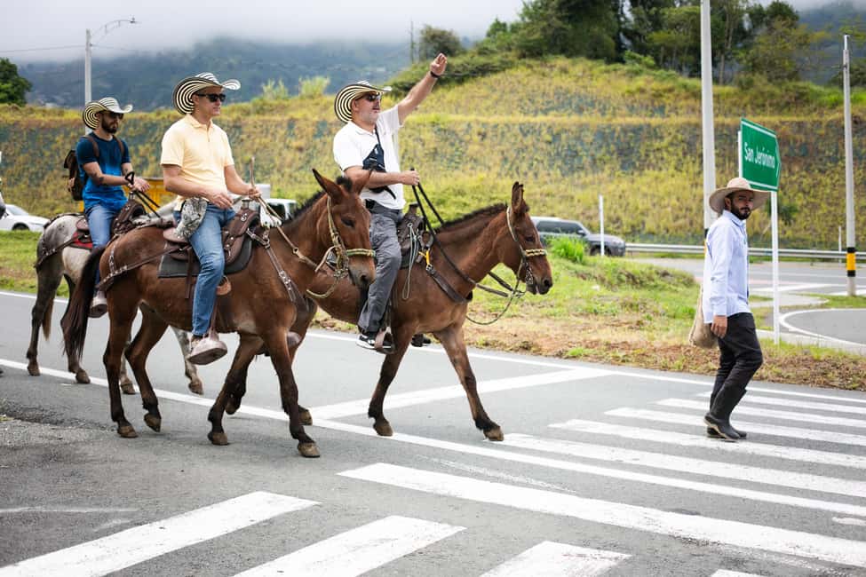 imagem n.14 de Medellín: Tour do café, chegada a cavalo e cana-de-açúcar atividade em Medellín, carregada pelo fornecedor