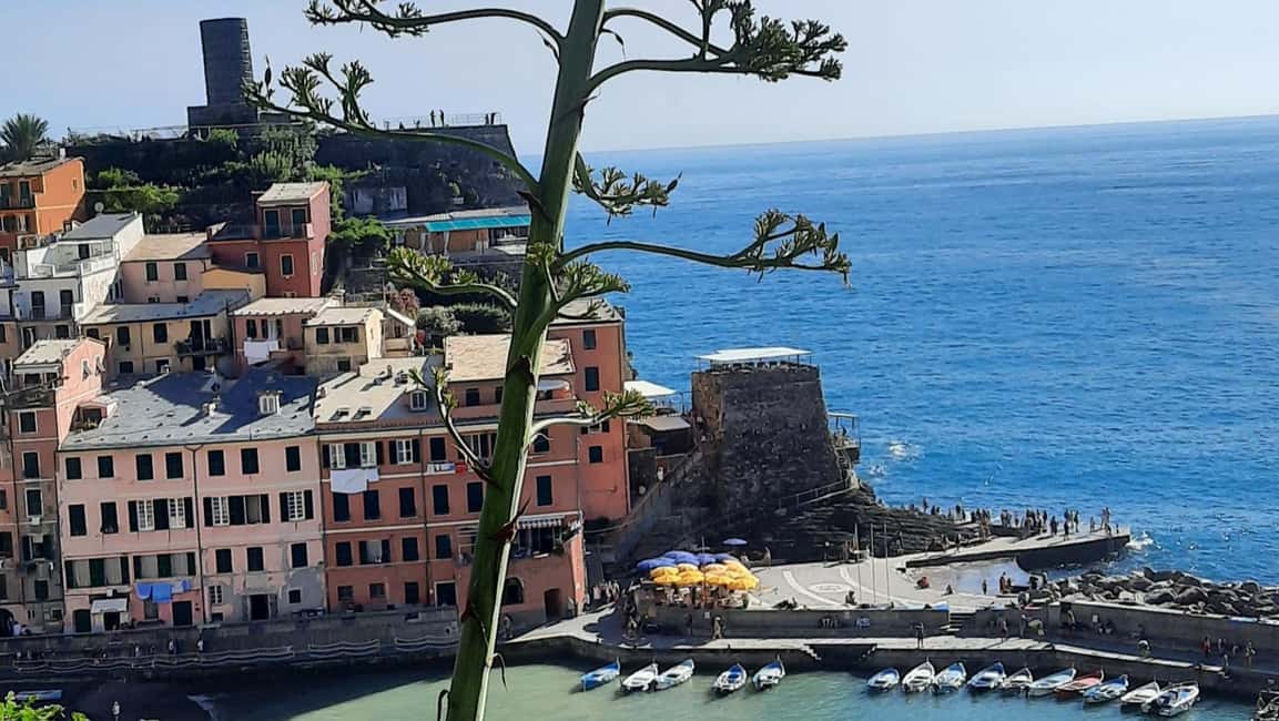 immagine n.3 di Tour privato delle Cinque Terre con partenza da Montecatini Terme attività in Riomaggiore, caricata dal fornitore
