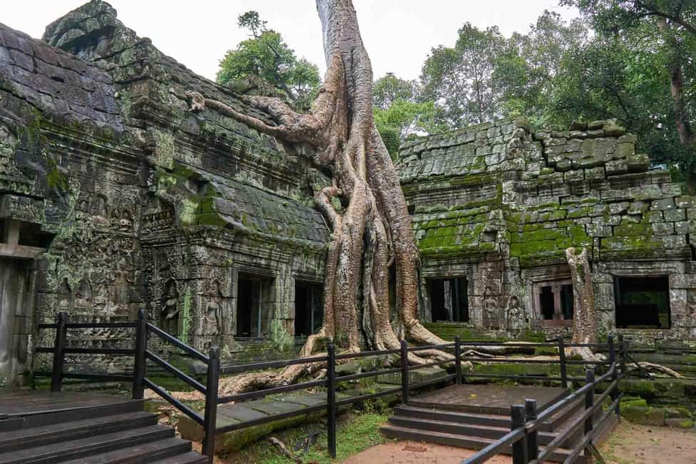 image n.3 of Angkor Zipline and Temple Tour with Sunset activity in Siem Reap, uploaded by supplier