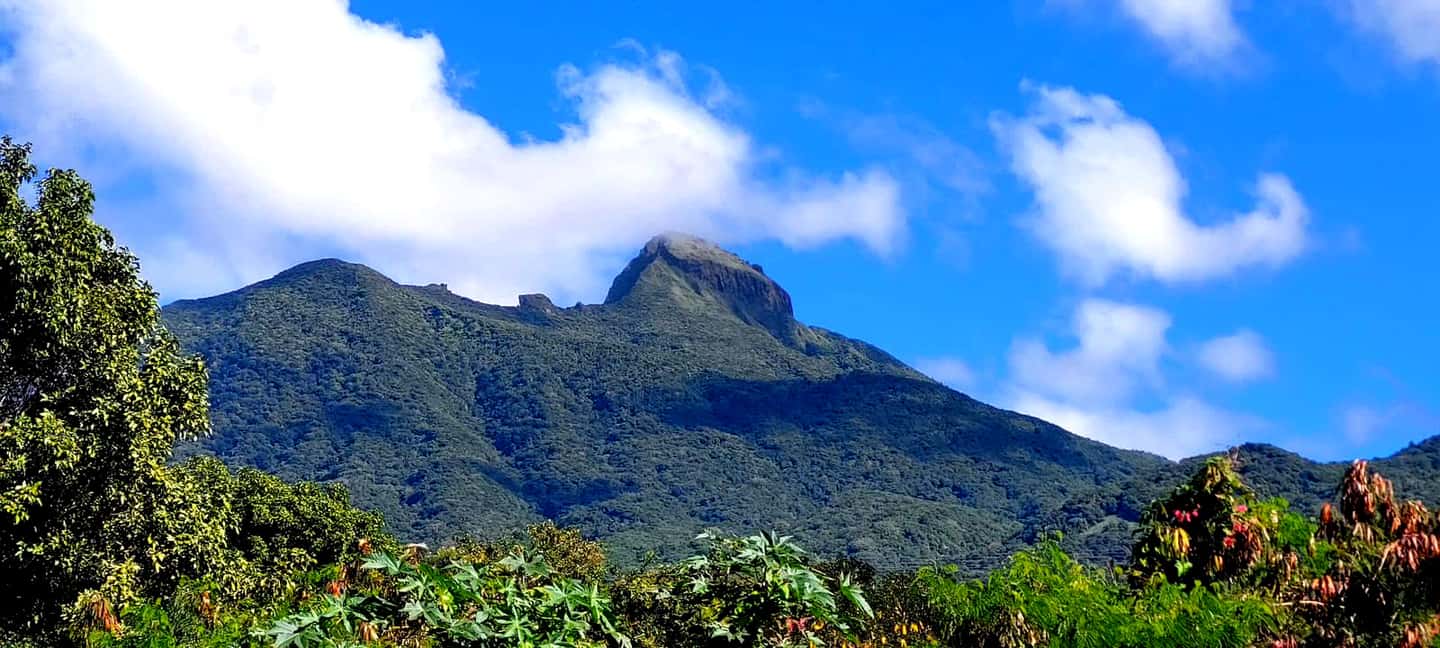 image n.7 of Hike St. Kitts: Highest peak Mount Liamuiga Volcano activity in Nevis, uploaded by supplier