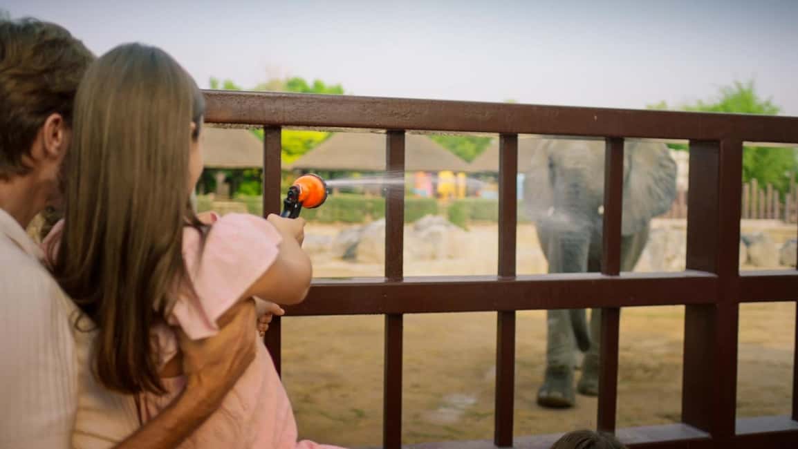 image n.11 of Dubai: Dubai Safari Park Entry Pass activity in Dubai, uploaded by supplier