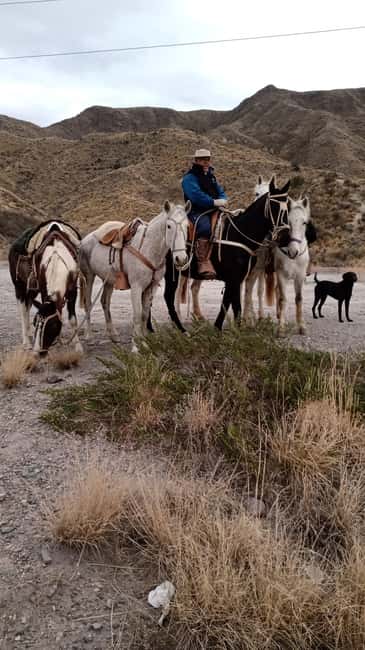 imagem n.19 de Mendoza: Passeios a cavalo nos Andes com churrasco autêntico atividade em Província de Mendoza, carregada pelo fornecedor