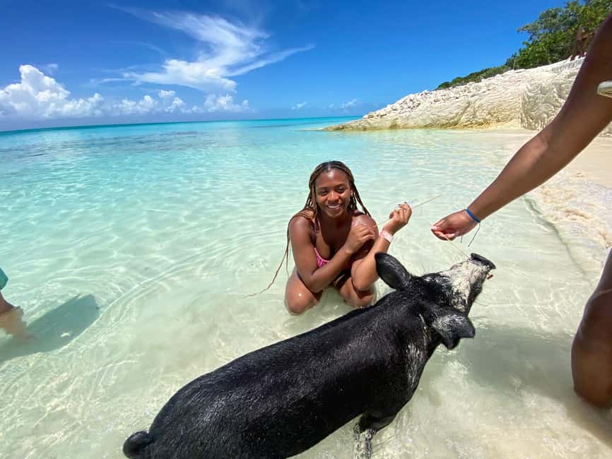 Image N°60 de Nassau : Cochons, plongée en apnée, tortues, déjeuner, club de plage privé activité à New Providence, publiée par le prestataire