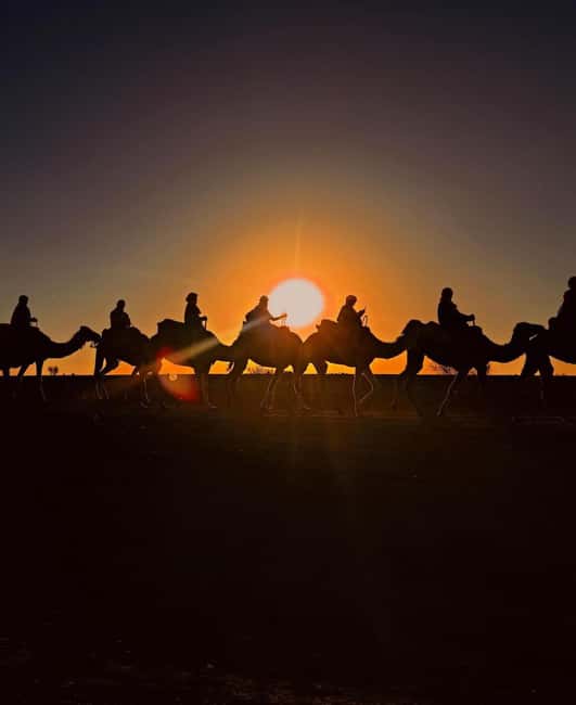 Immagine nº 38 di Marrakesh: Tramonto nel deserto di Agafay, giro in cammello e cena con spettacolo attività a Marrakech, caricata dal fornitore