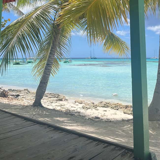 image n.19 of Saona Island: Beach & Natural Pool Small-Group Tour w/ Lunch activity in La Romana (Province), uploaded by supplier