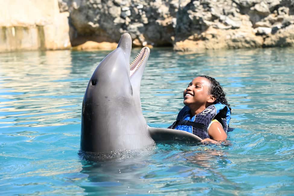 image n.2 of Puerto Plata Ocean World Dolphin Swim activity in Puerto Plata, uploaded by supplier