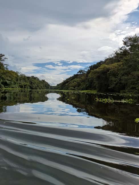 image n.7 of Puerto Nariño: Three days Amazon Jungle and Lakes tour activity in Huanuco Region, uploaded by supplier