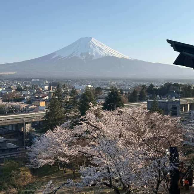 obrázek č.12 aktivity Tokio: Mt Fuji Soukromá jednodenní prohlídka s anglickým řidičem Nízká cena v destinaci Fujiyoshida, nahraný poskytovatelem aktivity
