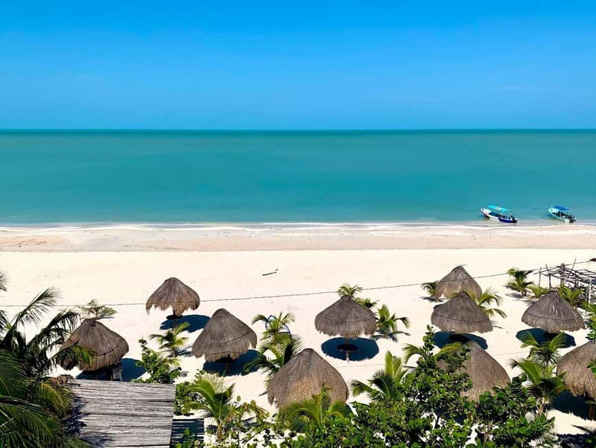image n.8 of Merida: Celestun Boat Ride Mangrove Experience! Beach Time activity in Celestún, uploaded by supplier