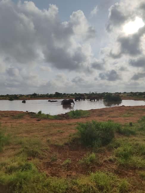 image n.3 of From Watamu: 2-Day Safari in Tsavo East National Park activity in Coast Province, uploaded by supplier