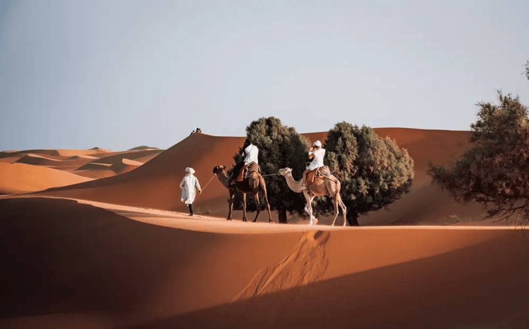 Image N°3 de Au départ de Fès : circuit de luxe de 3 jours dans le désert jusqu'à Marrakech via Merzouga activité à Aït-ben-Haddou, publiée par le prestataire