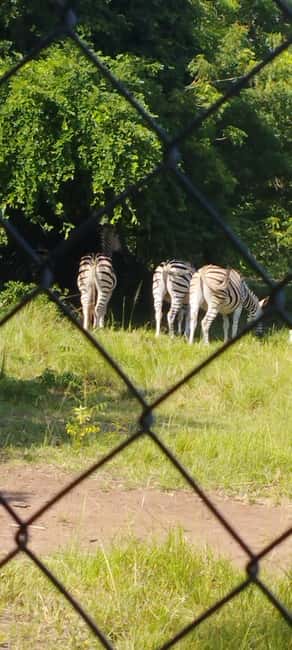 image n.21 of 10 DAYS HISTORY AND ADVENTURE TOUR activity in Accra, uploaded by supplier