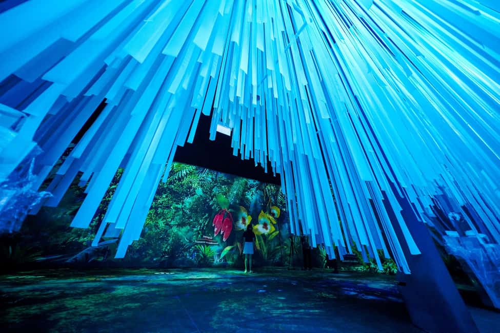 imagen n.º 26 de Singapur: Jardín de las Maravillas Disney en Fantasía Floral actividad en Singapur, subida por el proveedor