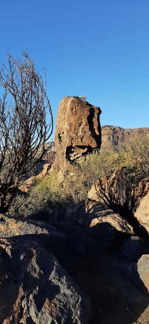 image n.9 of Gran Canaria: Highlights & hidden gems by 2 local guides activity in Vega de San Mateo, uploaded by supplier