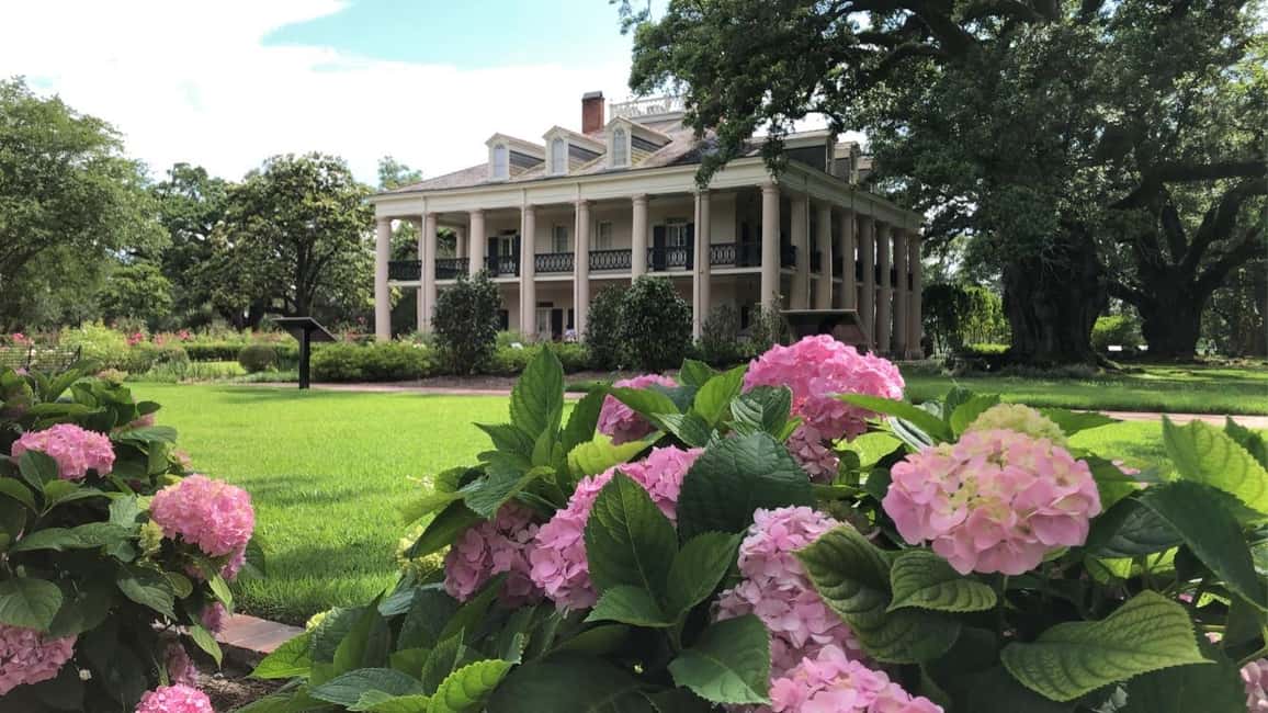 Immagine nº 14 di New Orleans: Tour della palude di Bayou e tour della piantagione di Oak Alley attività a Vacherie, Louisiana, caricata dal fornitore