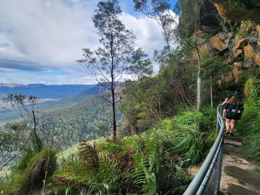 image n.36 of From Sydney: Blue Mountains Tour with Waterfall Walk & Lunch activity in Wentworth Falls, uploaded by supplier