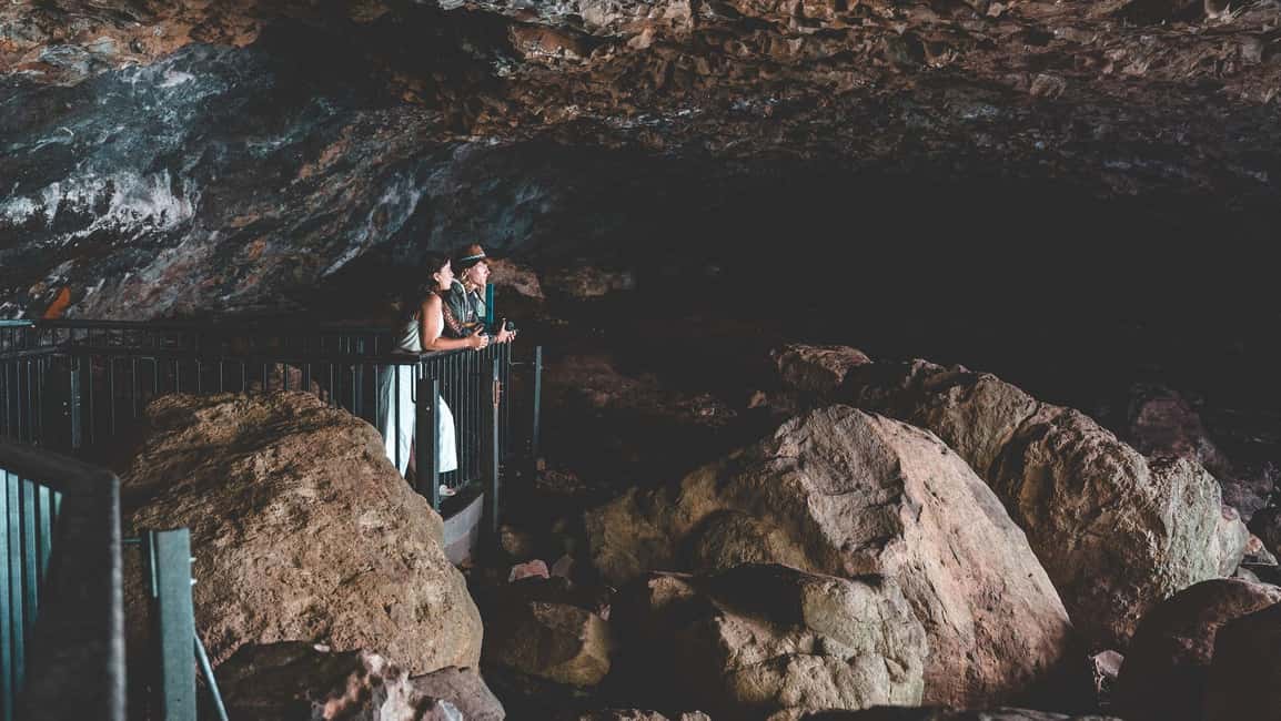 image n.3 of Brisbane: Rainforests, Waterfalls and Glow Worm Cave Tour activity in Gold Coast, uploaded by supplier