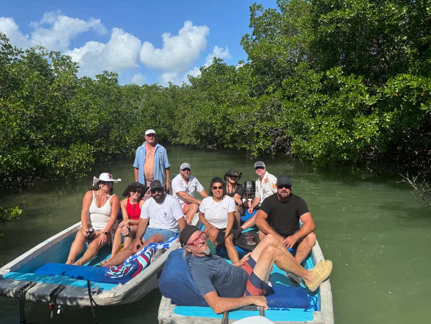 imagen n.º 3 de Cayo Hueso Excursión en lancha por los Manglares y los Bares actividad en Cayo Hueso, subida por el proveedor