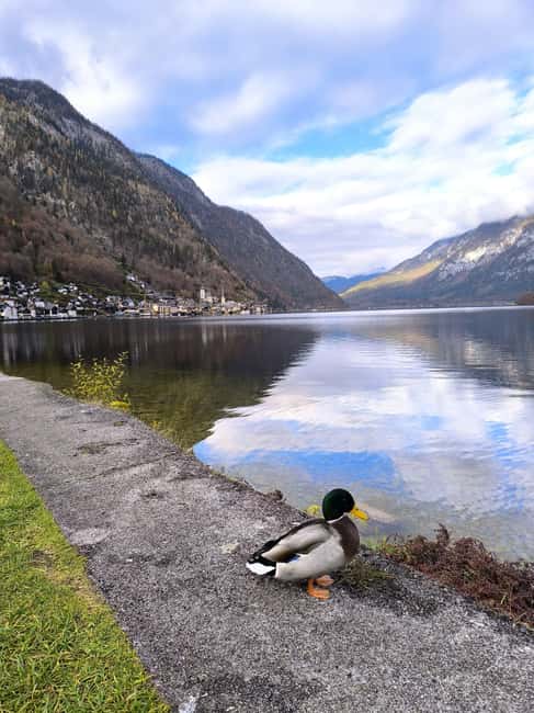 image n.13 of Luxury Van Tour: Salzburg, Hallstatt & More for Your Group activity in Melk, uploaded by supplier