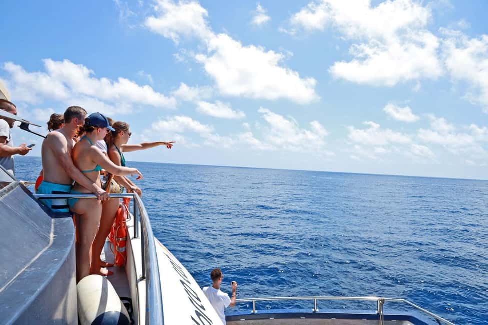 bild nr.2 av Mallorca: 3-timmars eftermiddags båttur med delfinskådning aktivitet i Peguera, uppladdad av arrangören