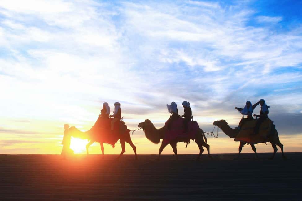 image n.10 of Cabo San Lucas: Camel Ride on the Beach activity in Cabo San Lucas, uploaded by supplier
