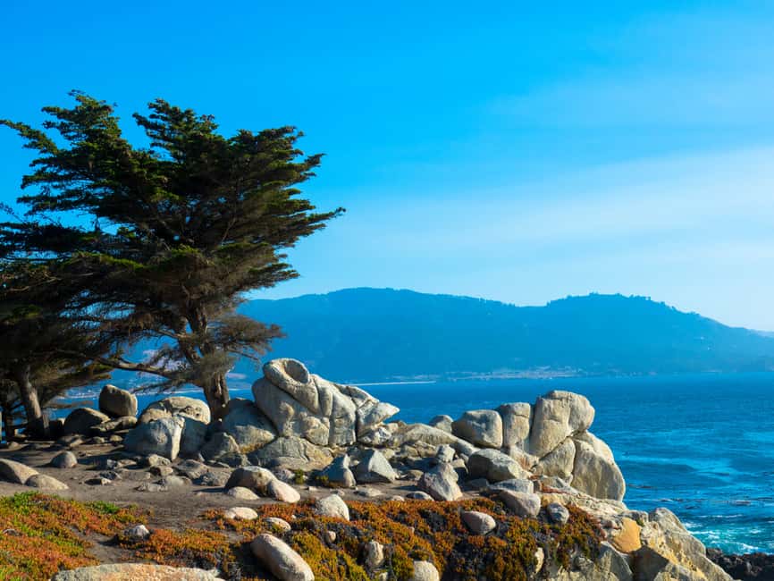 image n.9 of Monterey Peninsula Sightseeing Tour including 17 Mile Drive activity in California, uploaded by supplier