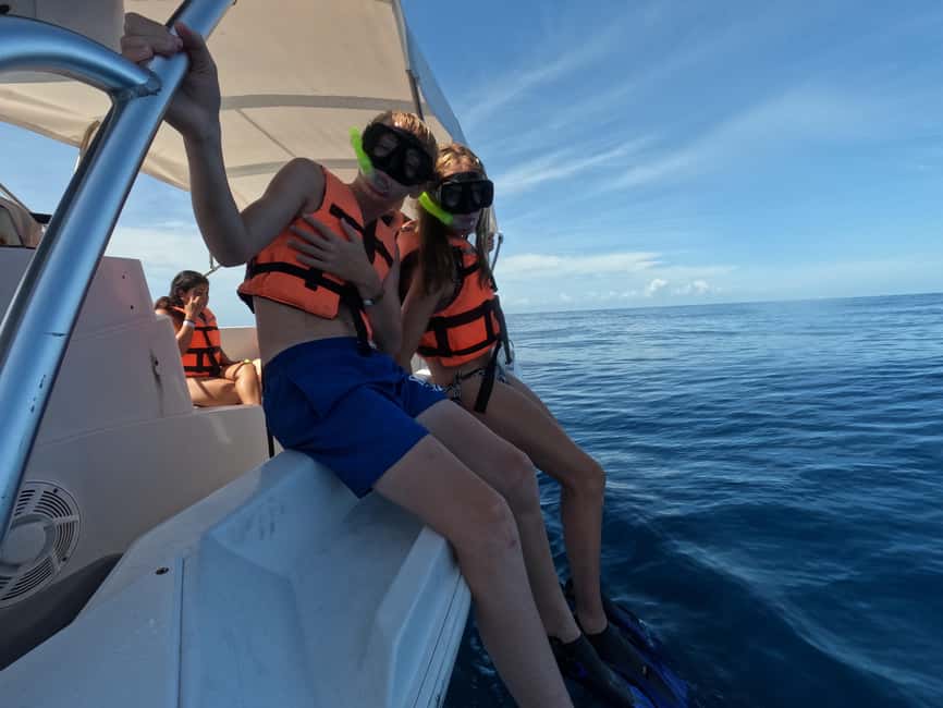 Bild Nr. 3 von Schwimmen mit Walhaien von Isla Mujeres und/oder Cancun aus Aktivität in Cancún, hochgeladen vom Anbieter