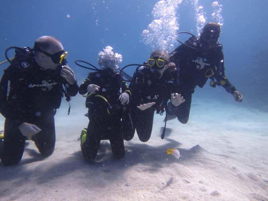 image n.13 of DISCOVER SCUBA DIVING IN LEMORNE with EasydiveMauritius activity in Mauritius, uploaded by supplier