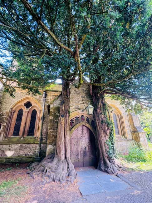 afbeelding n.25 van Vanuit Londen: Dagvullende tour door de Cotswolds met optionele lunch activiteit in Oxford, geüpload door aanbieder