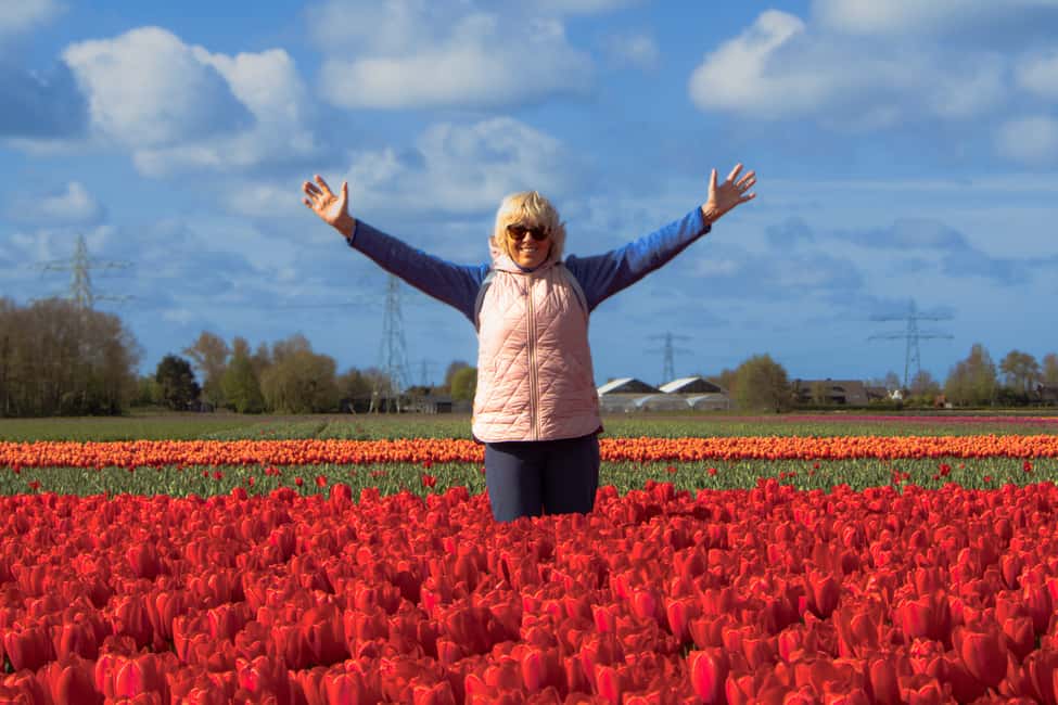 image n.4 of Amsterdam: Tulip Farm Visit, Keukenhof, and Windmill Cruise activity in Voorhout, The Netherlands, uploaded by supplier