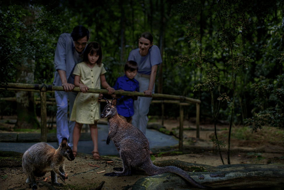 imagem n.23 de Singapura: Ingresso para o Safari Noturno e para o Passeio de Elétrico atividade em Singapura, carregada pelo fornecedor
