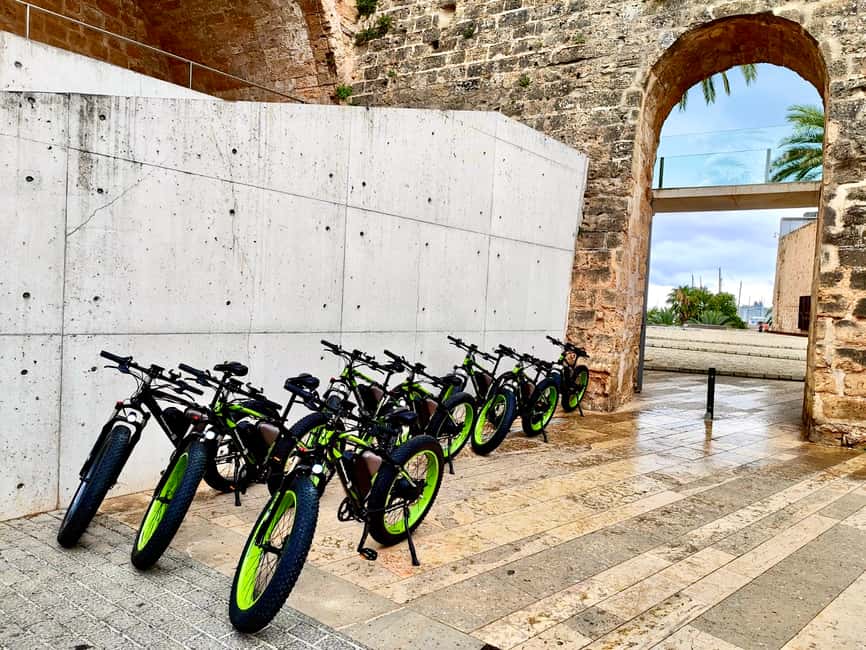 image n.8 of Palma: Guided City Tour with a Fat Tire E-Bike activity in Palma de Mallorca, uploaded by supplier