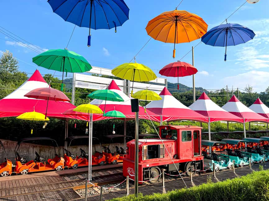 imagem n.9 de Seul: Mundo da Alpaca e Ilha Nami (+Gangchon Railbike) atividade em Gyeonggi, carregada pelo fornecedor
