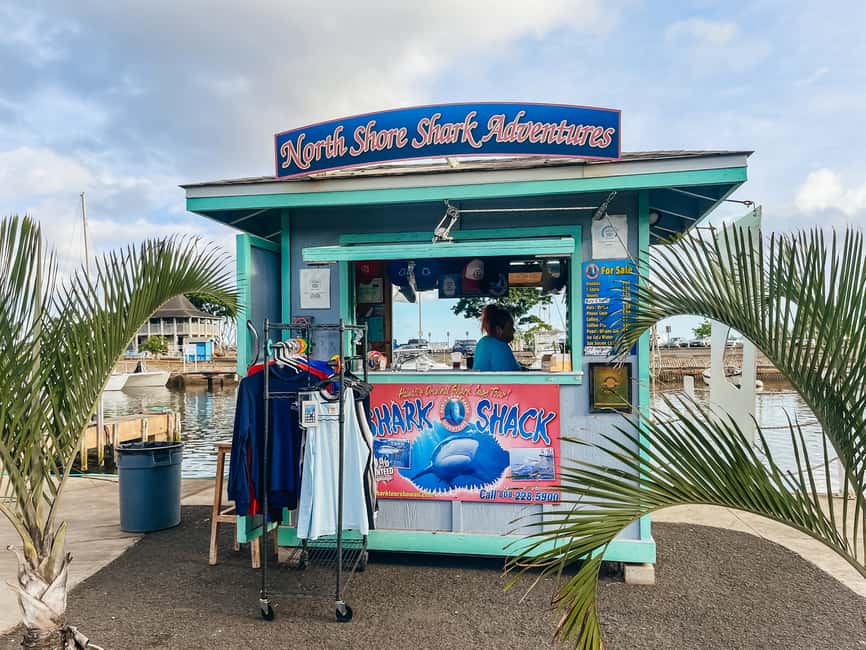 image n.17 of Oahu: Shark Cage Dive on the North Shore activity in Honolulu, uploaded by supplier