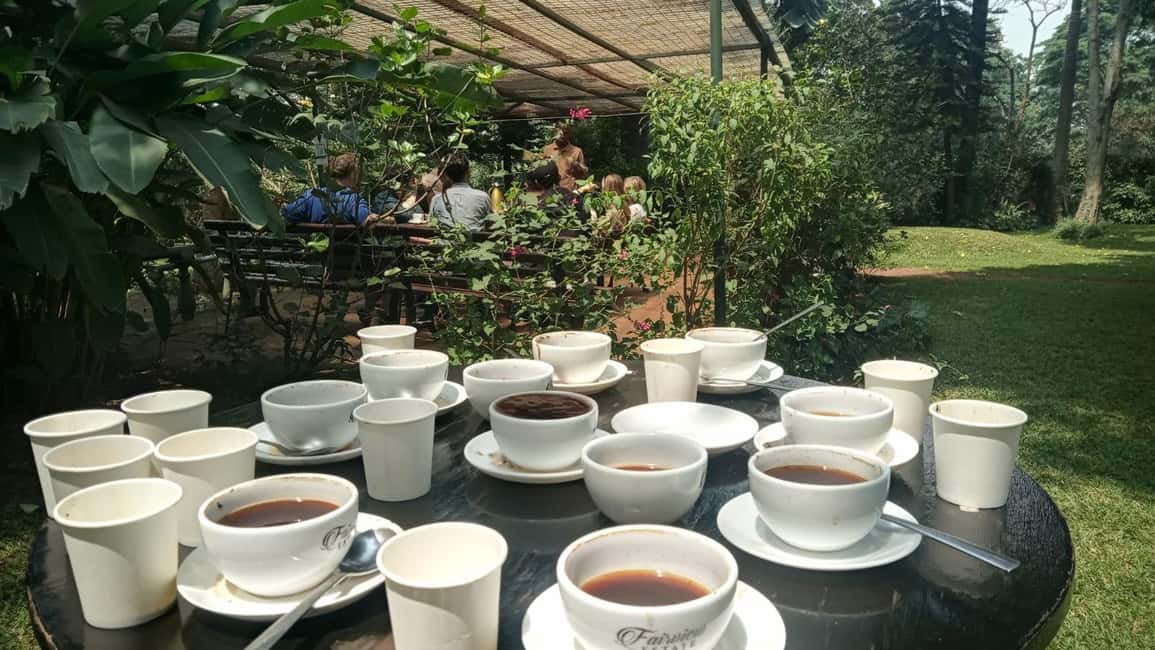 image n.41 of Coffee Farm Tour (Fairview) activity in Kiambu, uploaded by supplier