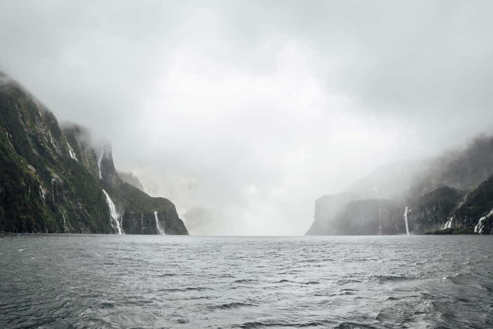 image n.11 of Queenstown: Milford Sound Coach & Cruise Full-Day Trip activity in South Island, uploaded by supplier