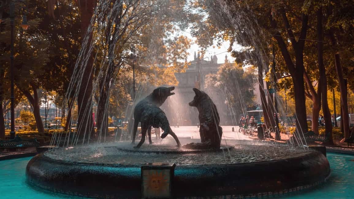 imagen n.º 2 de Ciudad de México: Coyoacán y Xochimilco actividad en Ciudad de México, subida por el proveedor