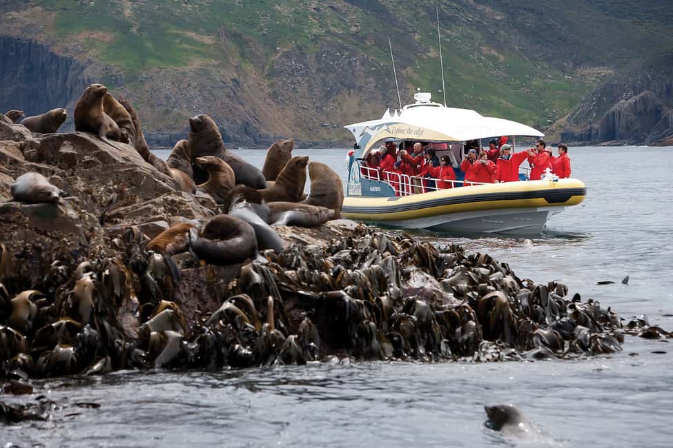 image n.5 of Hobart: Bruny Island Wilderness Coast Eco Cruise with Lunch activity in Adventure Bay, uploaded by supplier