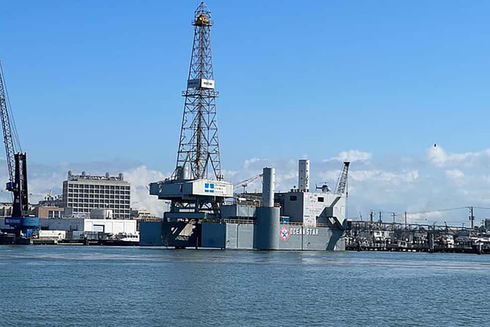 imagen n.º 6 de Galveston: Crucero de observación de delfines actividad en Galveston, subida por el proveedor