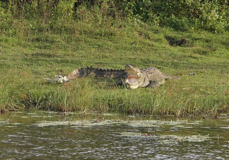 image n.20 of From Mirissa/Galle/Hikkaduwa: Udawalawa National Park Safari activity in Eastern Province, Sri Lanka, uploaded by supplier
